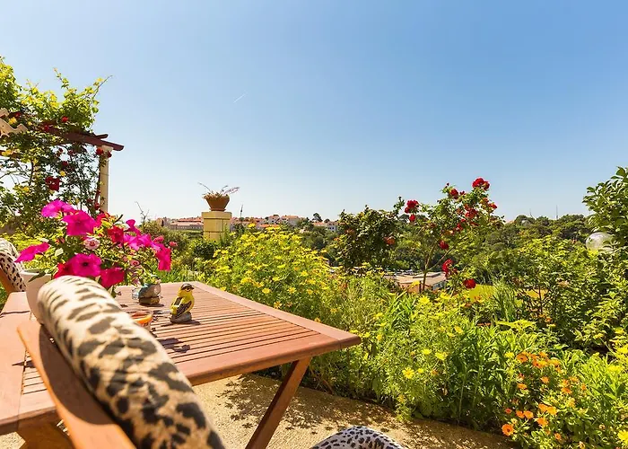 Sunshine 두브로브니크